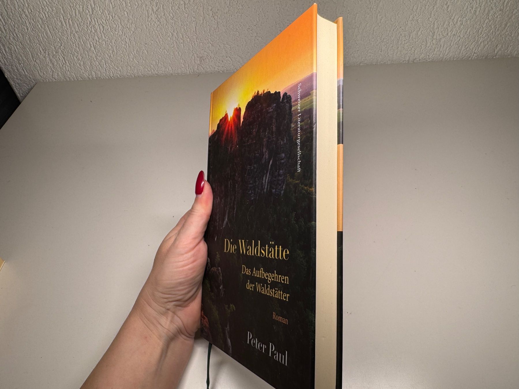 Libri: ROMAN: Peter Paul, Die Waldstätte – Usato da Grosswangen venduto da Deutsche_Romane 1