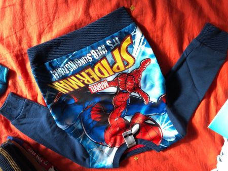 Pull Spiderman taille 98