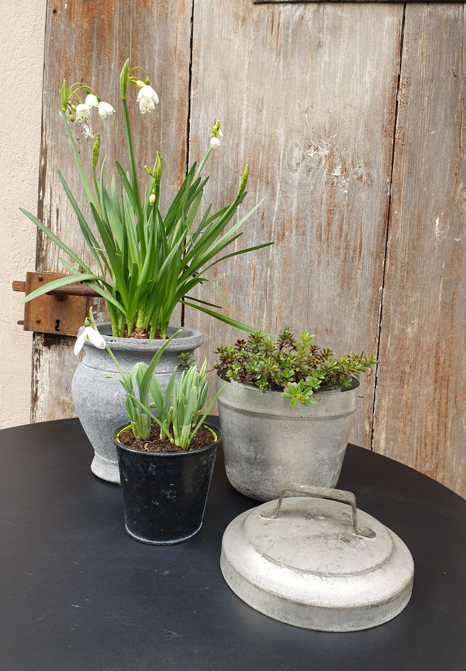 Teglie da forno: Antike Backform mit Deckel Brocante Blumentopf – Usato da Marbach SG venduto da ShabbyChicBrocante