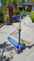 Micro Mini Deluxe Kinderscooter