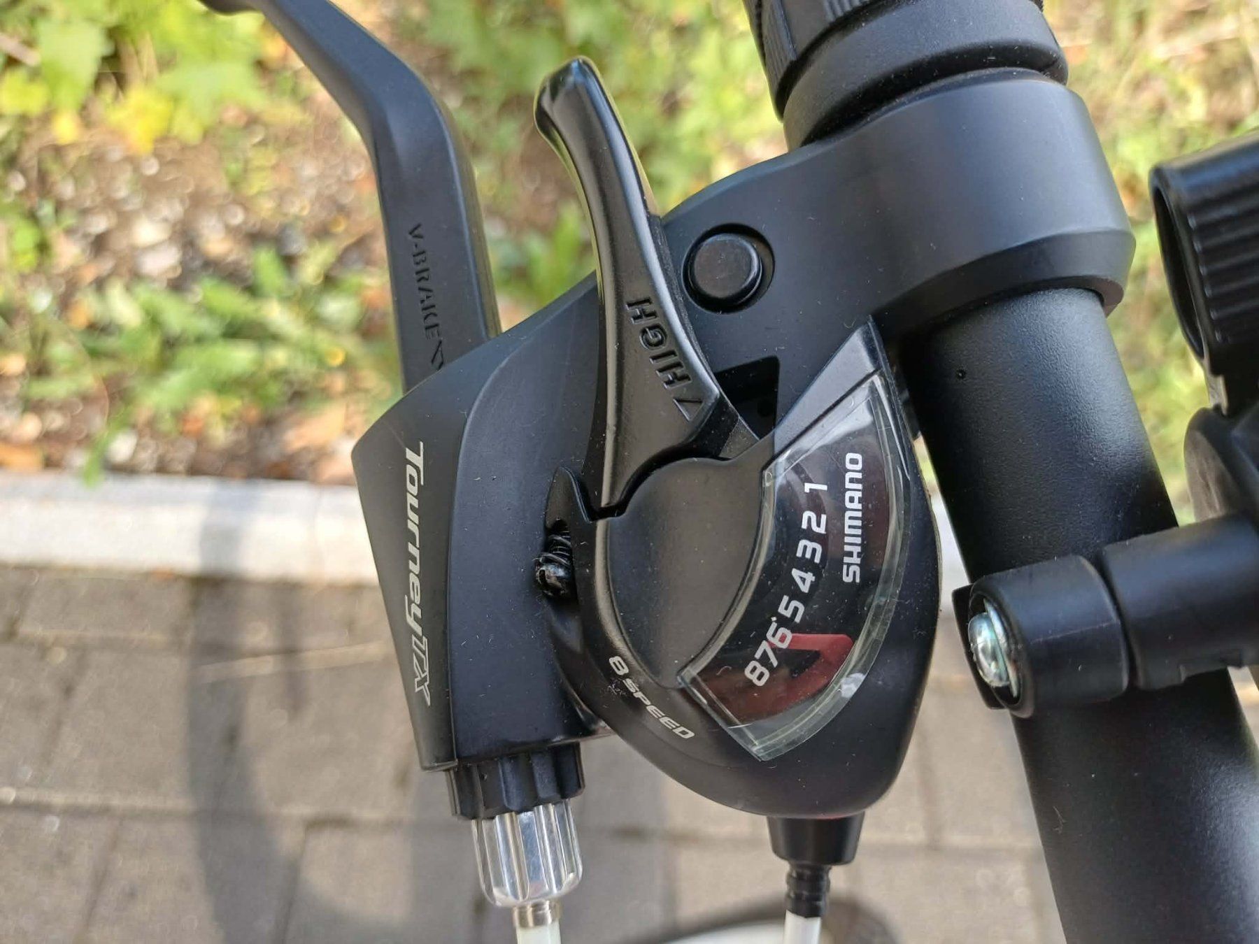 Biciclette: Cyngus Fahrrad – Usato da Wil SG venduto da Berg1-Bob 4