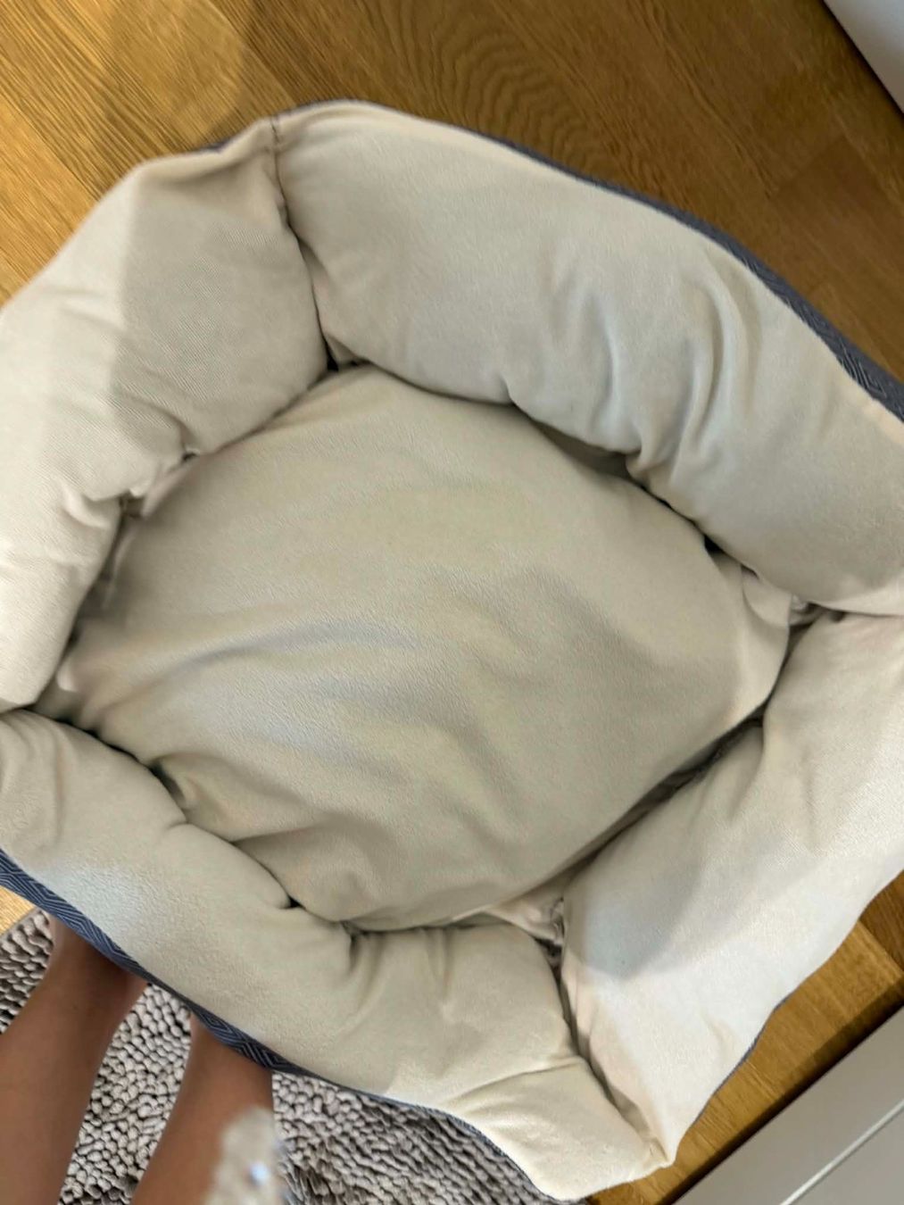 Cucce & Letti: Hundebett,kuschelig weich – Usato da Riehen venduto da ann_76jw 1
