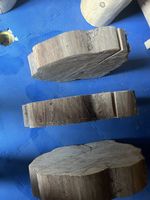 Holzscheiben 
