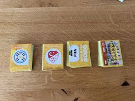 Panini