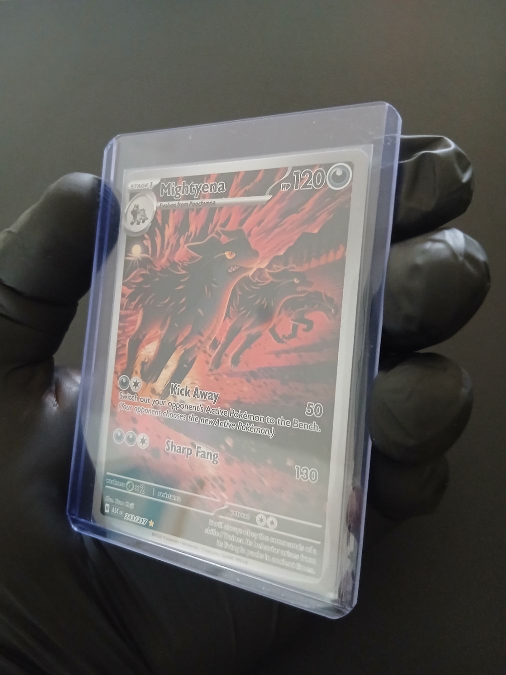 Pokémon Carte collezionabili: Ascended Heroes Mightyena Pokémon EN – Nuovo (secondo la descrizione) da Regensdorf venduto da Baba_Basar 4
