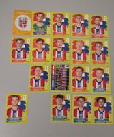 🇳🇴 ÉQUIPE DE NORVÈGE – PANINI FIFA WORLD CUP 2026 🇳🇴