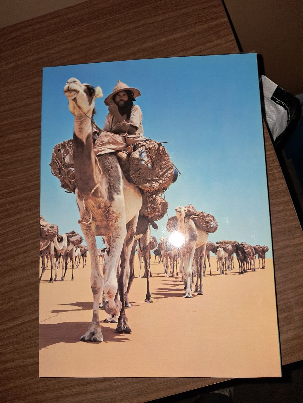 Bücher: Livre sur le Sahara – Gebraucht aus Le locle von juliensaran 4