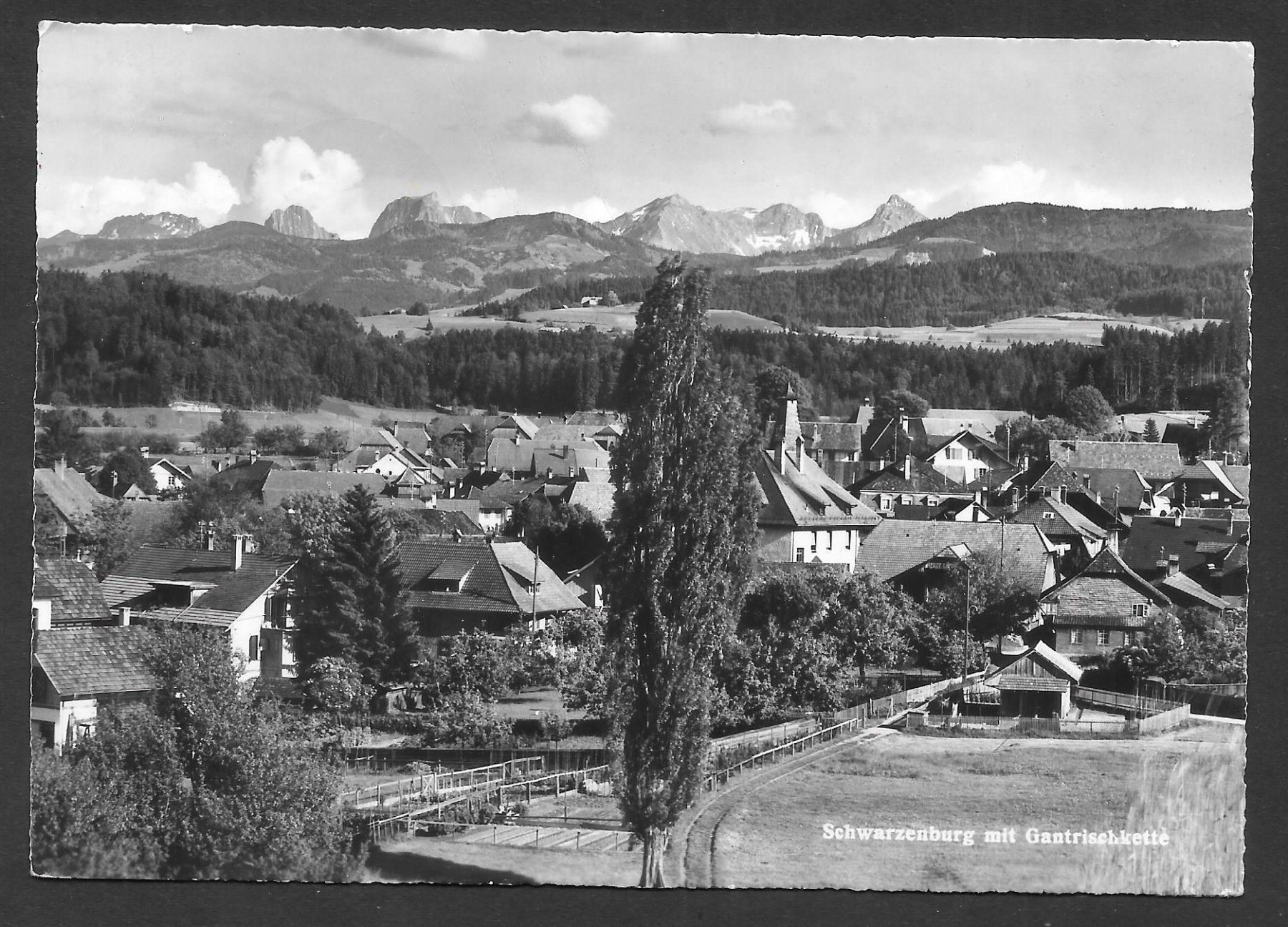 Cartoline postali: Schwarzenburg mit Gantrischkette – Usato da Olten venduto da clotaldi