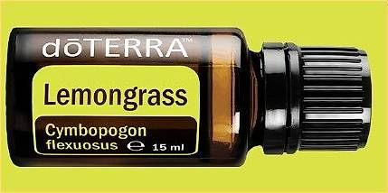 Oli essenziali: Lemongras DoTerra - 15 ml – Usato da Medeglia venduto da kat-ugo