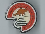 Curling Club Biber Solothurn, Pin