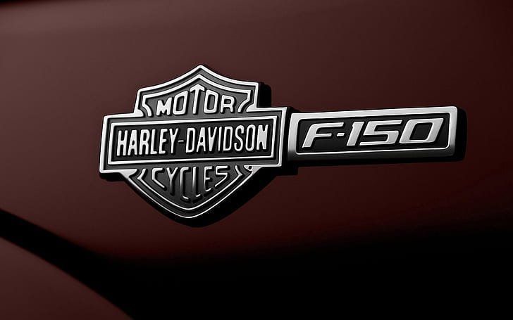 Ford Tappeti & Tappetini: Ford F150 Harley Davidson Pickup Matte – Usato da Alpnach Dorf venduto da Americandream 8