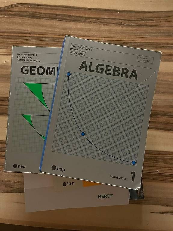 Libri: Marthaler Algebra/Geometrie TK-Skripte & Mathe – Usato da Bassersdorf venduto da LuxuryHype 1