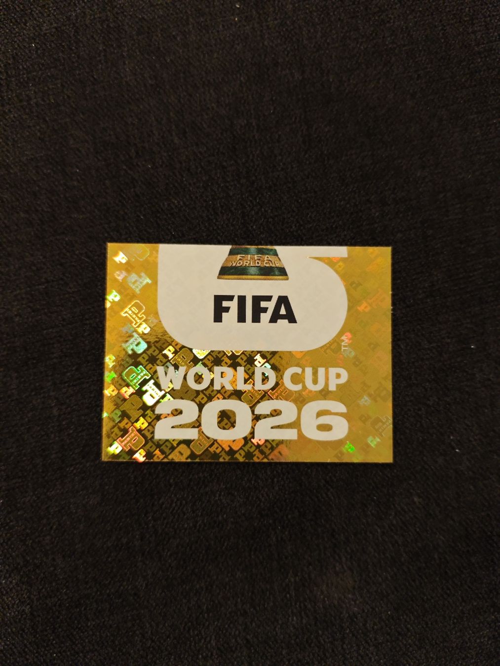 Panini Carte collezionabili: FWC 2 Panini WM 2026 – Nuovo (secondo la descrizione) da Würenlingen venduto da E1999
