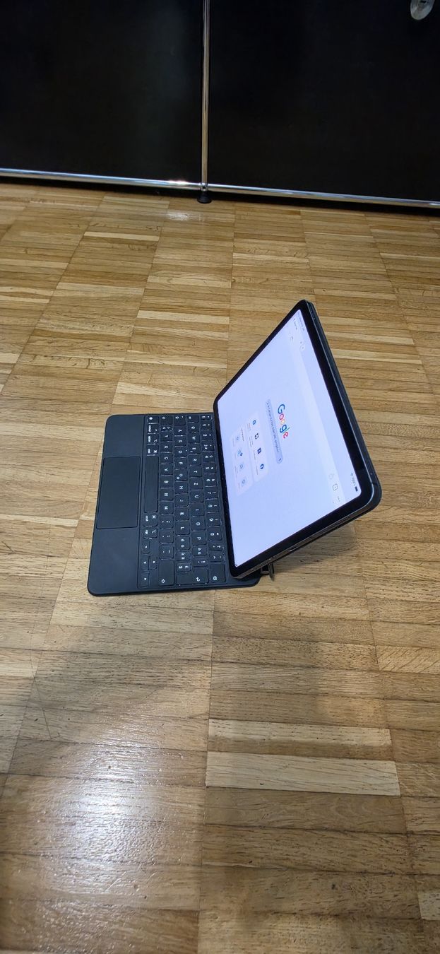 Apple Tablet PC: iPad Air 256G 4G – Usato da Oberglatt ZH venduto da mirovalenta 1