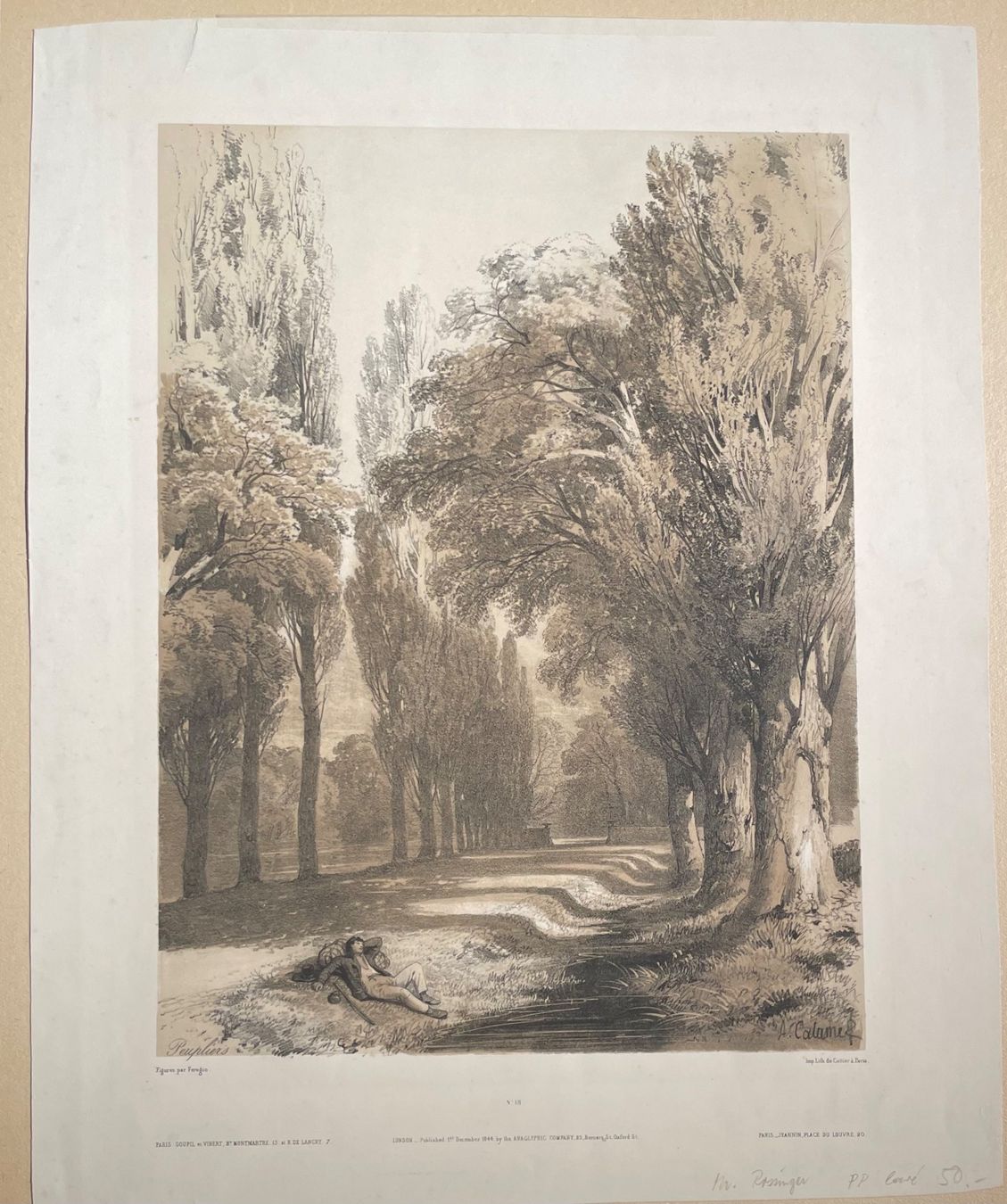 Arts picturaux & lithographies: Al. Calame lithographie Peupliers – D'occasion à Biel/Bienne par Galaq