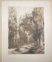 Al. Calame lithographie Peupliers