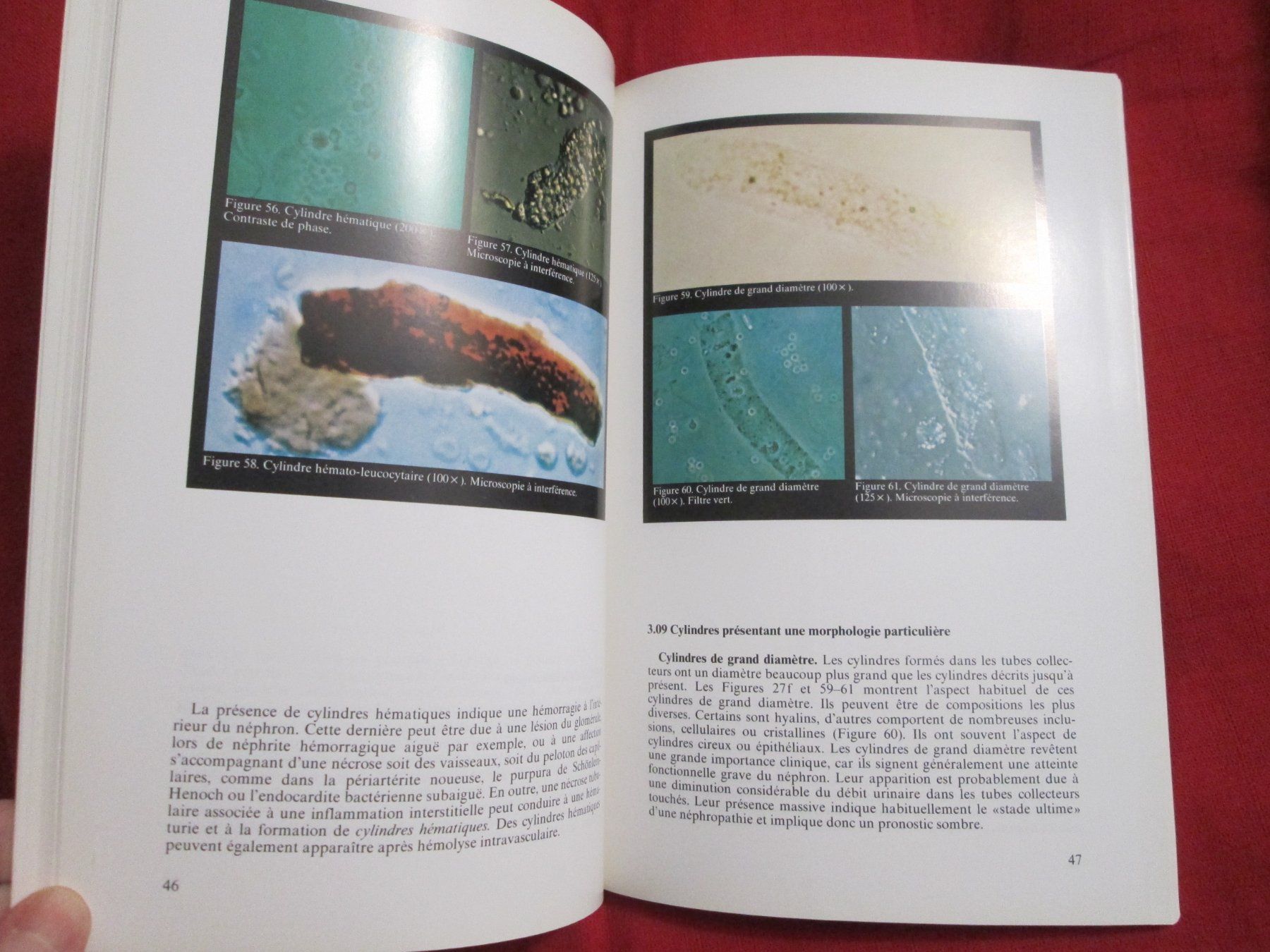 Libri: L'urine vue au microscope – Usato da Neuchâtel venduto da Dualseele 8