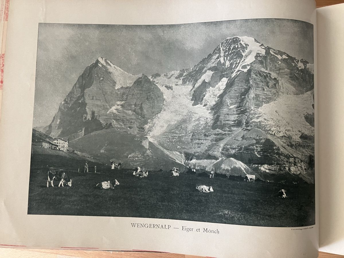 Libri: Mon Voyage en Suisse – Usato da Lausanne venduto da Willandco 4