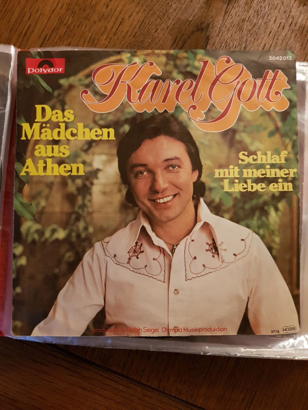 Dischi in vinile: Schallplatten 18 Singles in einem Album eingeordnet – Usato da Pieterlen venduto da Dyui 8