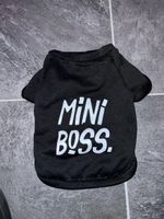 "Mini Boss" Hundekleidung