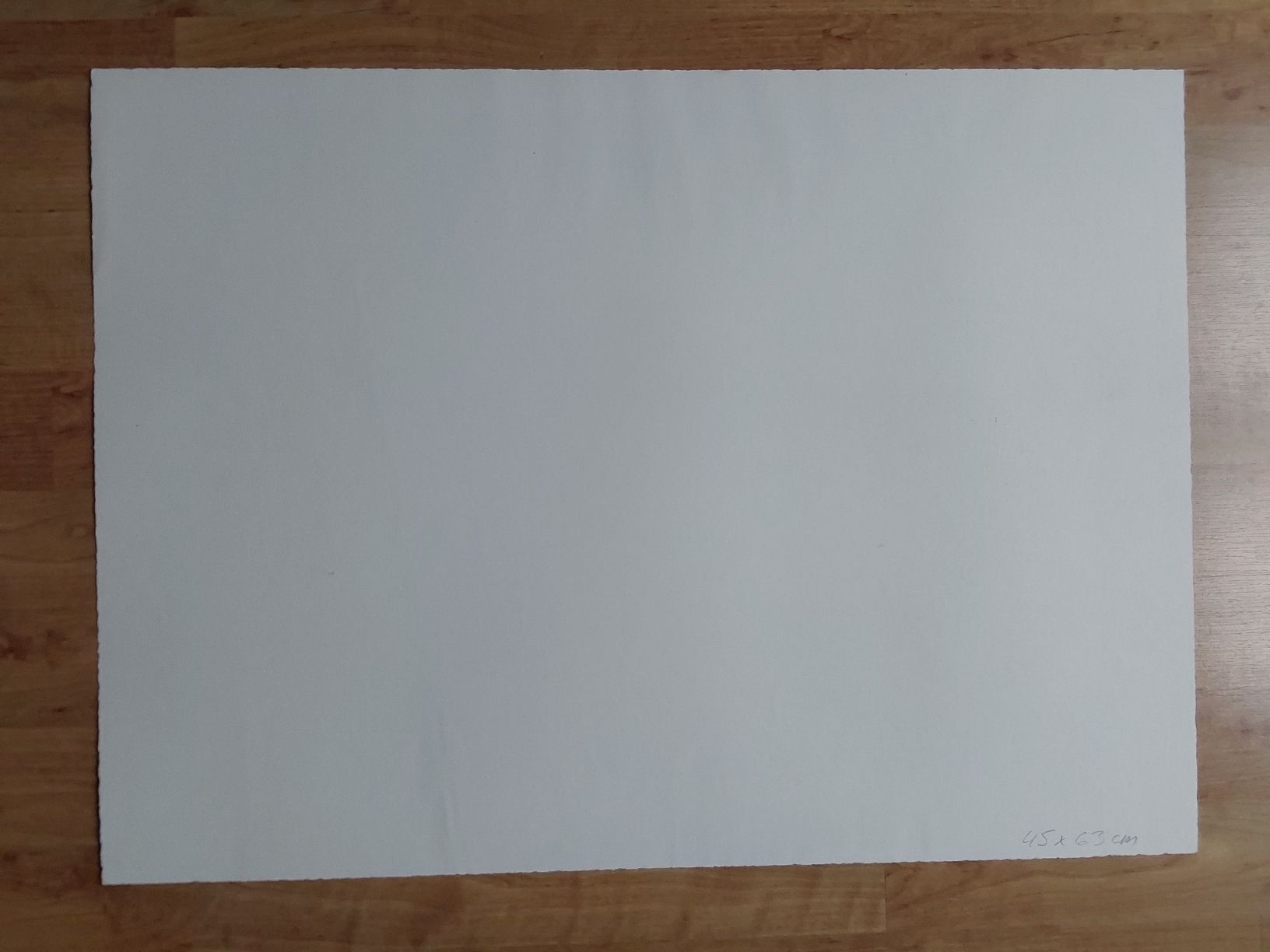 Grafica & Litografie: Erni Hans.  Lithographie 45x63cm. – Usato da Steinach venduto da Chilli1957 1