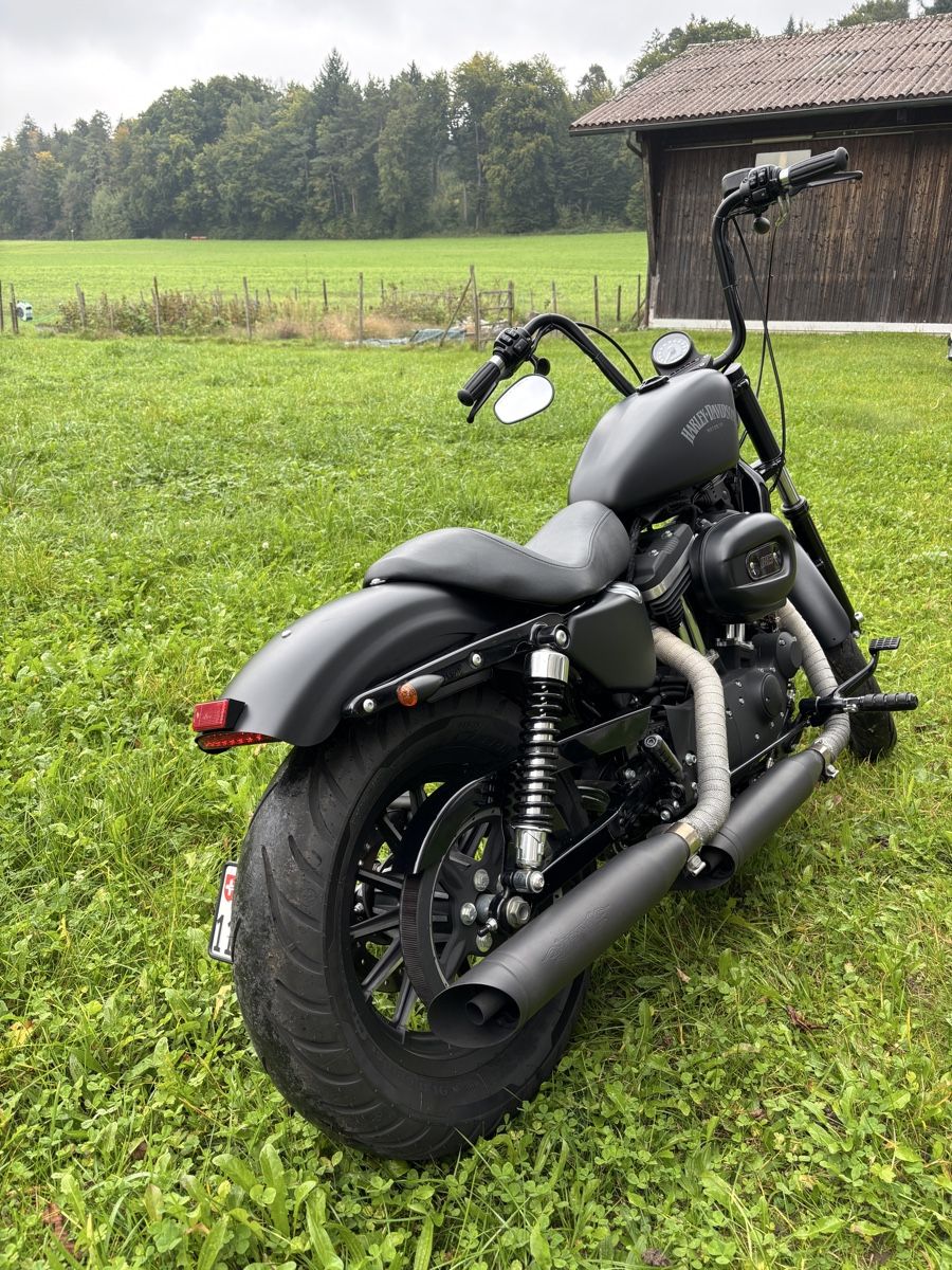 Chopper: Harley Davidson Sporster Iron 883 – Gebraucht aus Illnau von Zelgliservice 2