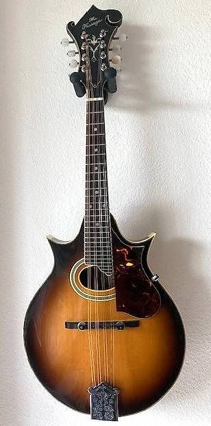 Instruments de musique: Bluegrass Mandoline "The Kasuga Custom Mod. M 50"  – D'occasion à Zürich par aza_j5bp