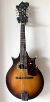 Bluegrass Mandoline "The Kasuga Custom Mod. M60" 