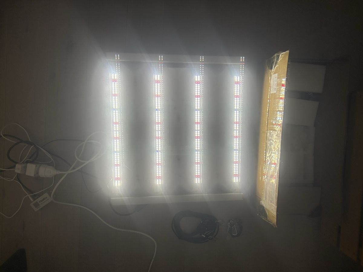 Lampade: LEE Pflanzenlicht zum überwintern – Usato da Steinhausen venduto da Kosmixx 1