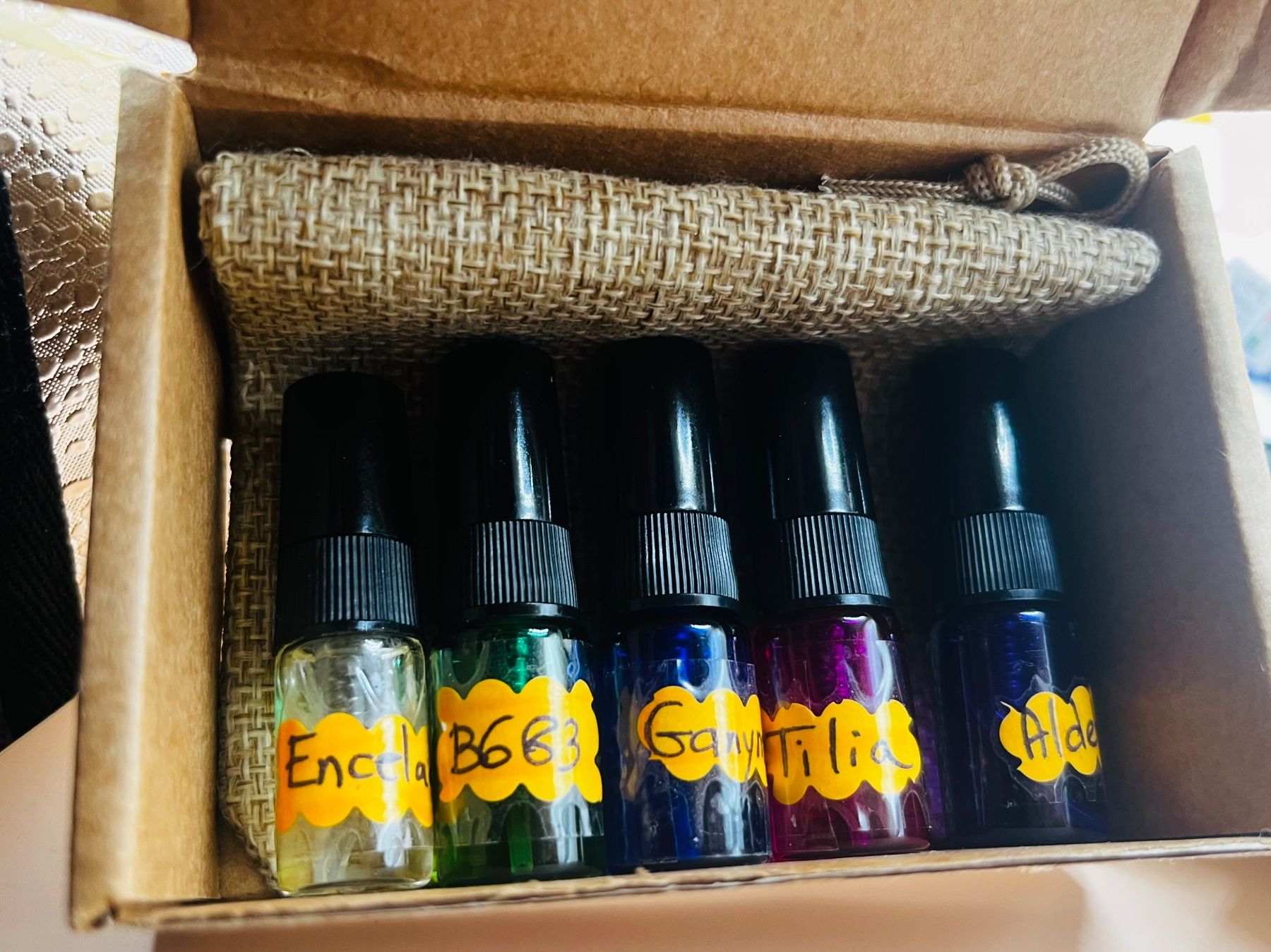 Profumi & Eau de Toilette: NICHE DISCOVERY EDP Marc-Antoine Barrois 5x2ml – Nuovo (secondo la descrizione) da Genève venduto da StaceyH