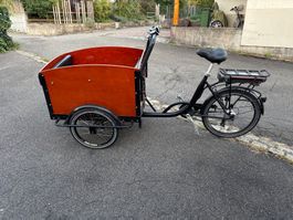 Elektro-Lastenrad Dapu Dreirad gebraucht guter Zustand