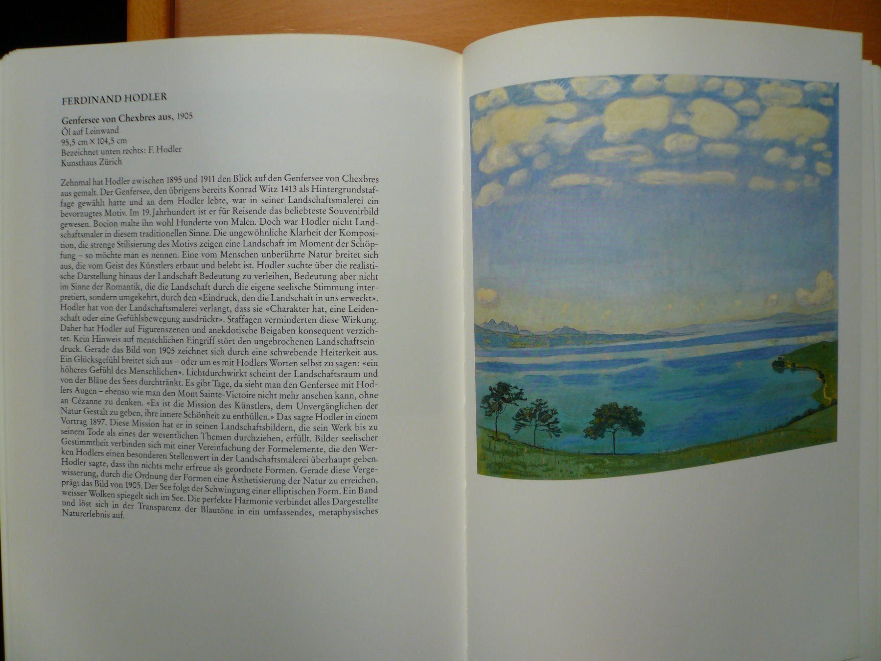Libri: Kunst - Schweizer Malerei – Nuovo (secondo la descrizione) da Brunnadern venduto da lesezirkel 3