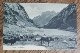 Fählensee 1913