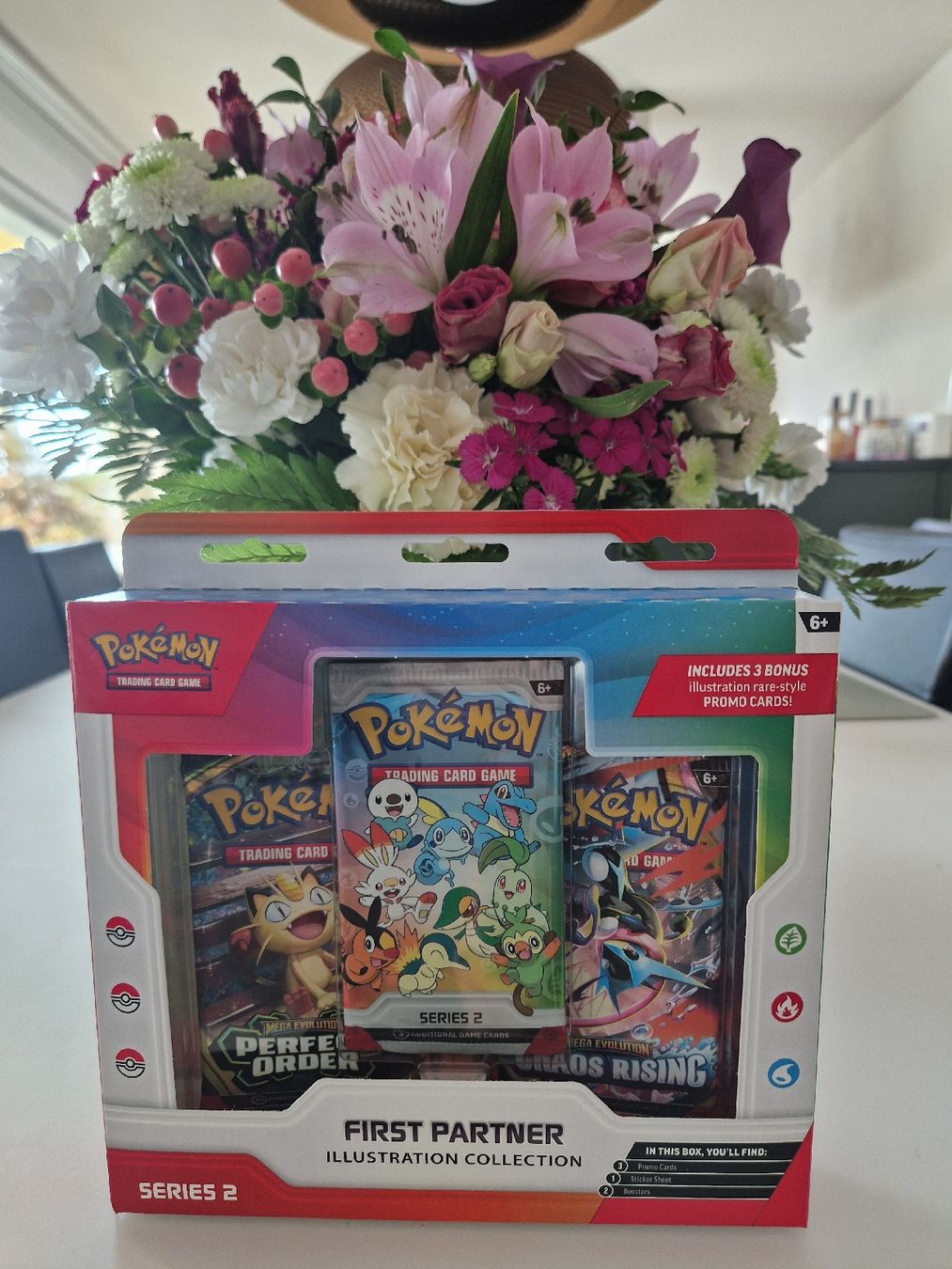 Pokémon Carte collezionabili: Pokemon First Partner Illustration Collection Series 2 – Nuovo e nell'imballaggio originale da St.Gallen venduto da alexander-5