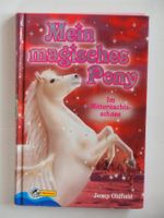Mein magisches Pony - Im Mitternachtsschnee