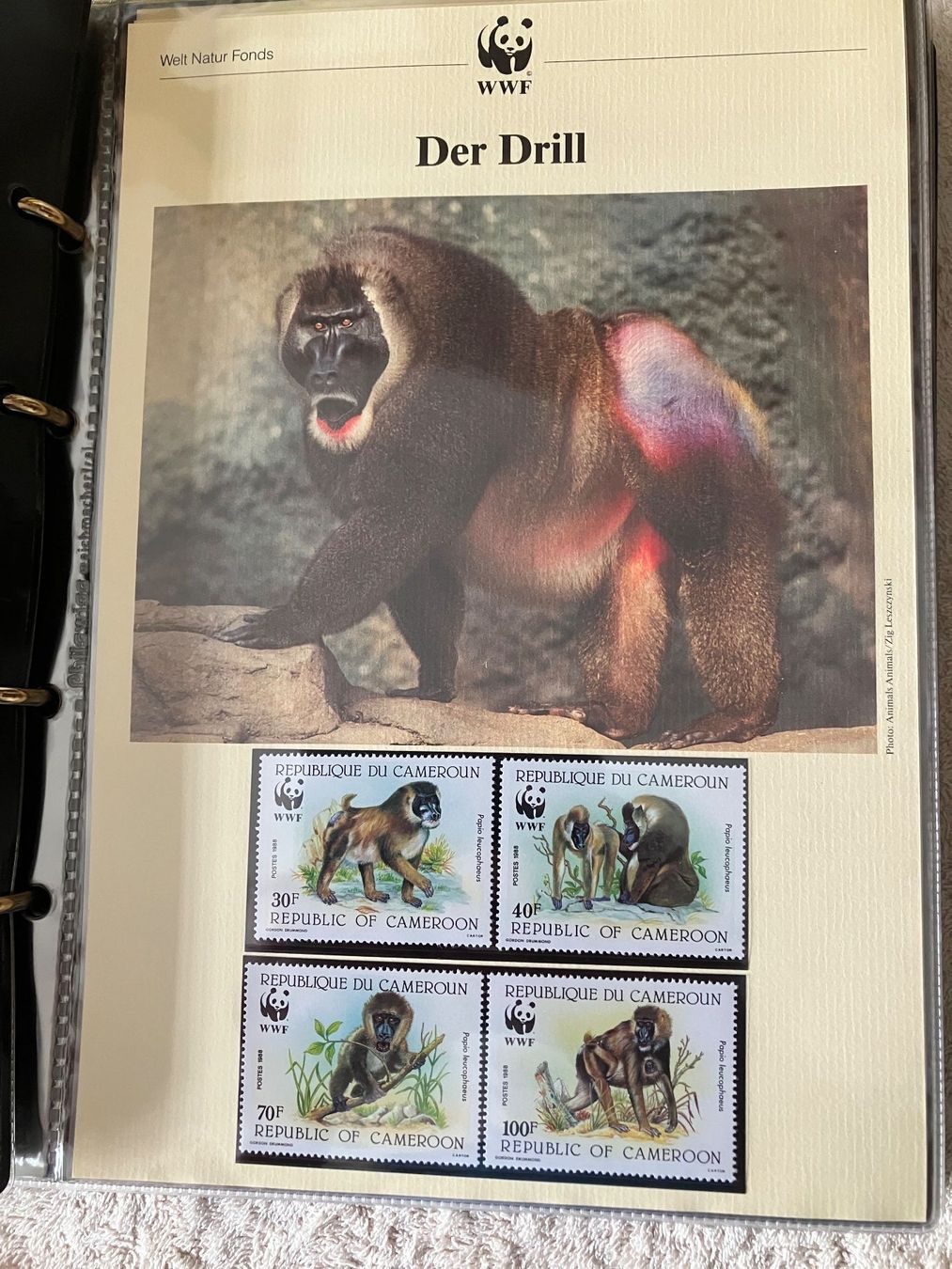 Alle Briefmarken: 6 Ordner WWF Briefmarken – Gebraucht aus Baar von Ramona10 5