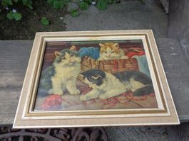 Katzenbild antik Rahmen mit Glas