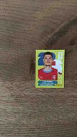 Panini Sammelbild Patrik Schick WM 2022 wie neu