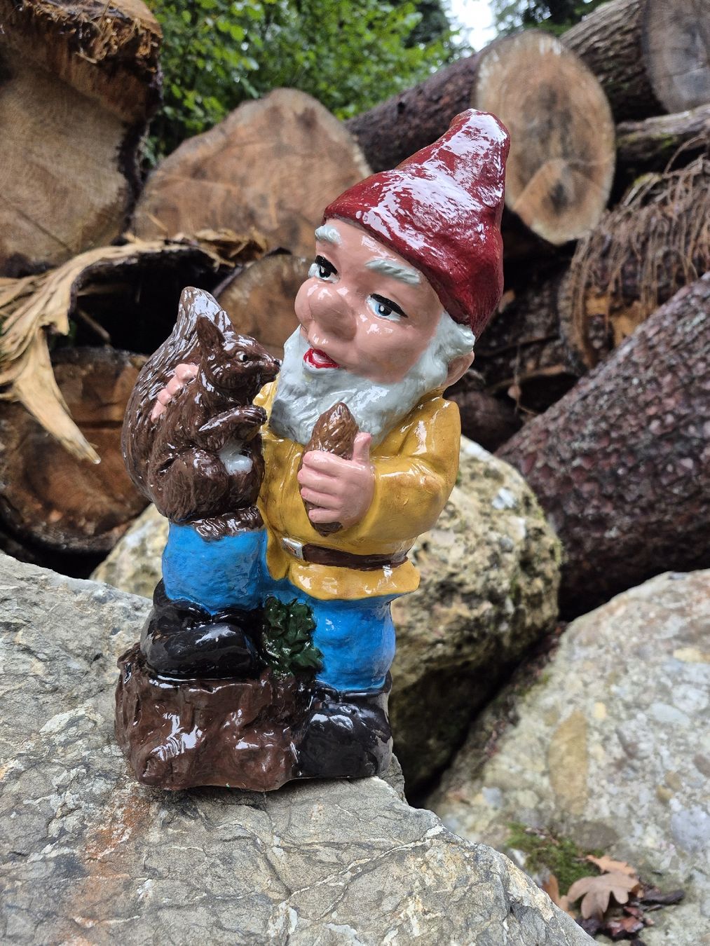Statuette: Gartenzwerg mit Eichhörnchen – Usato da Baar venduto da Zwergen-Atelier4 3