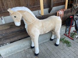 Reitpferd für Kinder