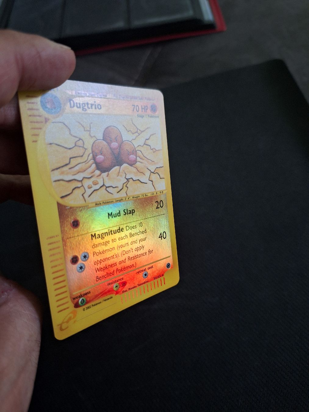Pokémon Carte collezionabili: Pokemon Karte (ex 10) – Nuovo (secondo la descrizione) da Obernau venduto da gig_g7j8 1