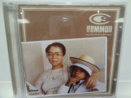 Common - One Day It'll All Make Sense