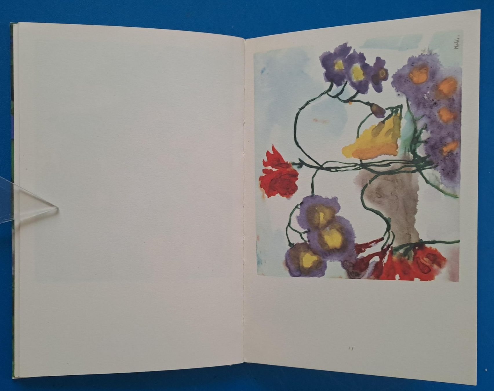 Libri: EMIL NOLDE: AQUARELLE sehr gut erhalten – Usato da Zürich venduto da archiphil 7