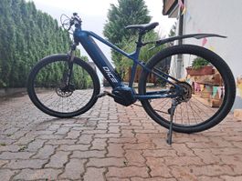 Prophete 25 E-Bike MTB Dice 3.8 Blau-Schwarz Matt 29"