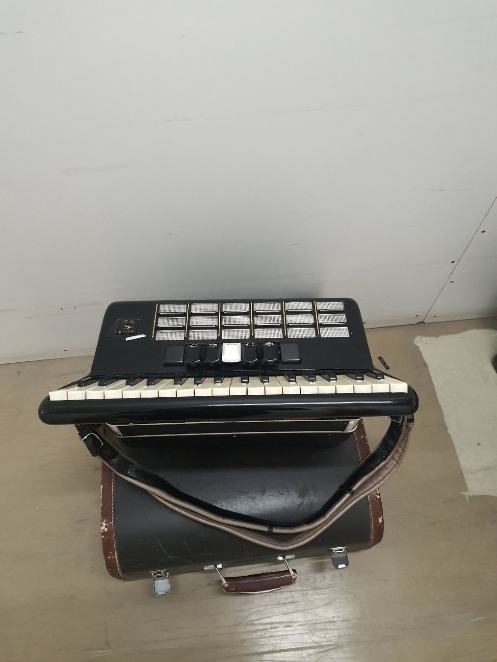 Strumenti musicali: accordéon à piano avec coffre – Usato da Pont-de-la-Morge venduto da Mirabelle0 6