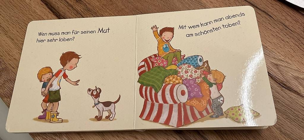 Libri: Buch der beste grosse Bruder – Usato da Glattpark(Opfikon) venduto da humanpro 1