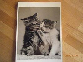 Carte postale noir/blanc