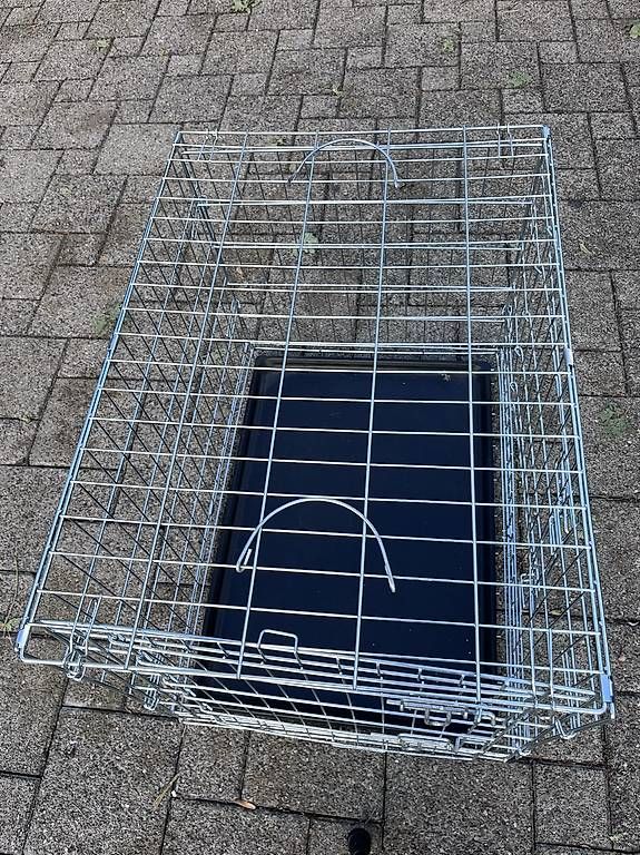 Cages, transport & sécurité: Hundebox  – D'occasion à Niederhasli par JUPOGI 2