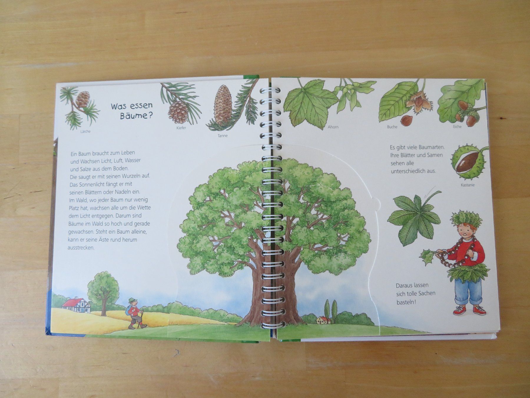 Libri: WIESO? WESHALB? WARUM? Junior "Der Wald" – Usato da Zürich venduto da piroma 1
