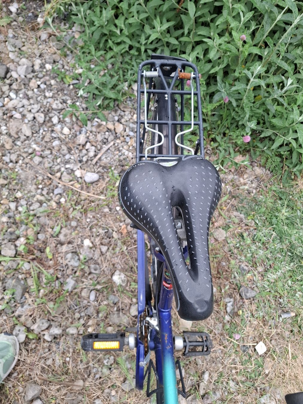 Biciclette: Grassi Allegro 28" Zoll,Schnäppchen! – Usato da Nussbaumen AG venduto da bio_vd8q 3